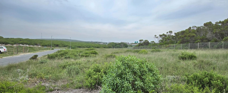 0 Bedroom Property for Sale in Kleinbaai Western Cape